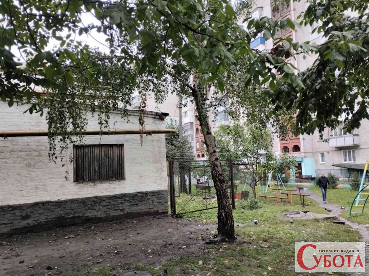 У Звягелі обстежили дерева біля дитячого майданчика в парку Захисників України: виконком затвердив акти