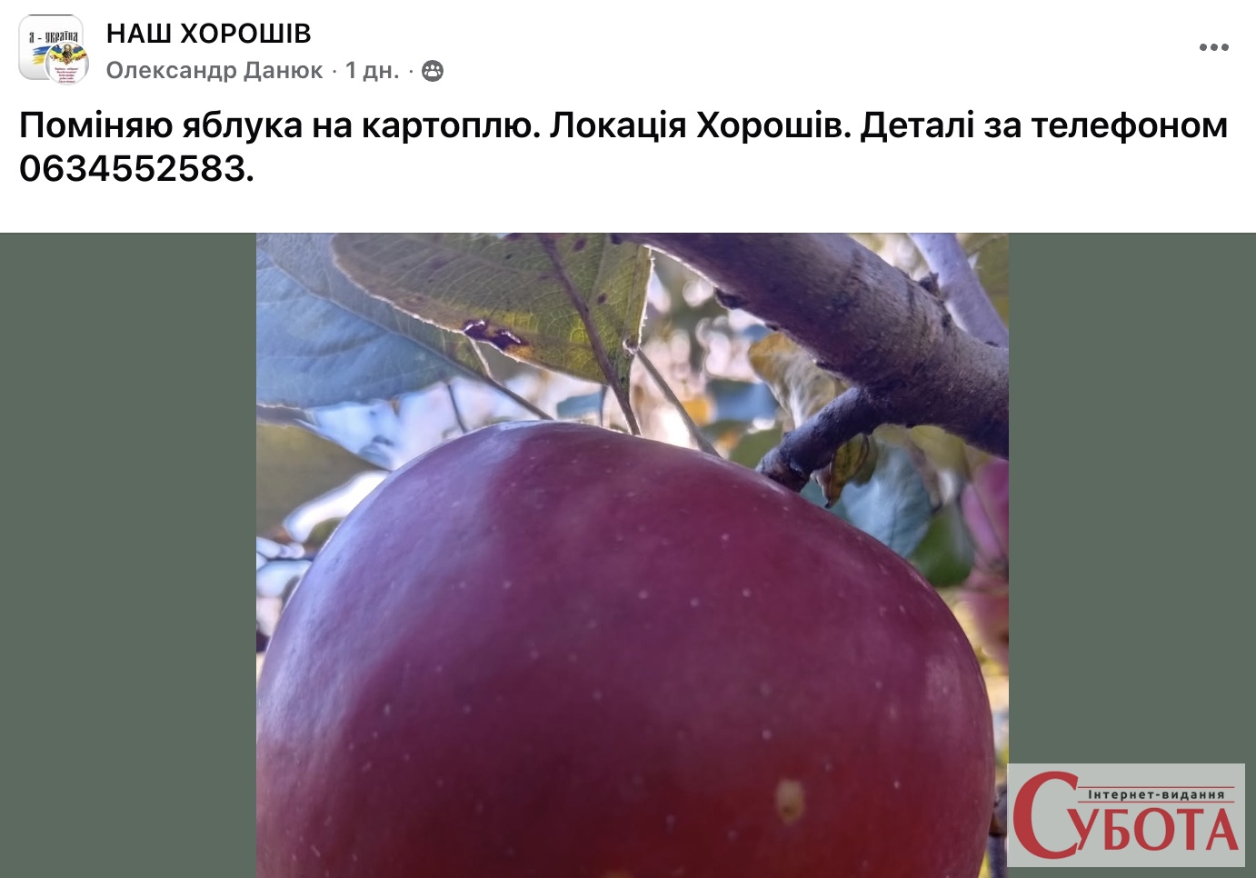 У Хорошеві з’явився осінній бартер: яблука міняють на картоплю — фото 1