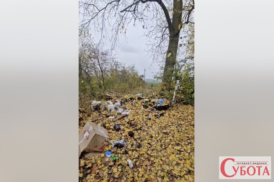 На міському кладовищі Бердичева поскаржилися на воду, туалети та переповнені сміттєві баки — фото 1
