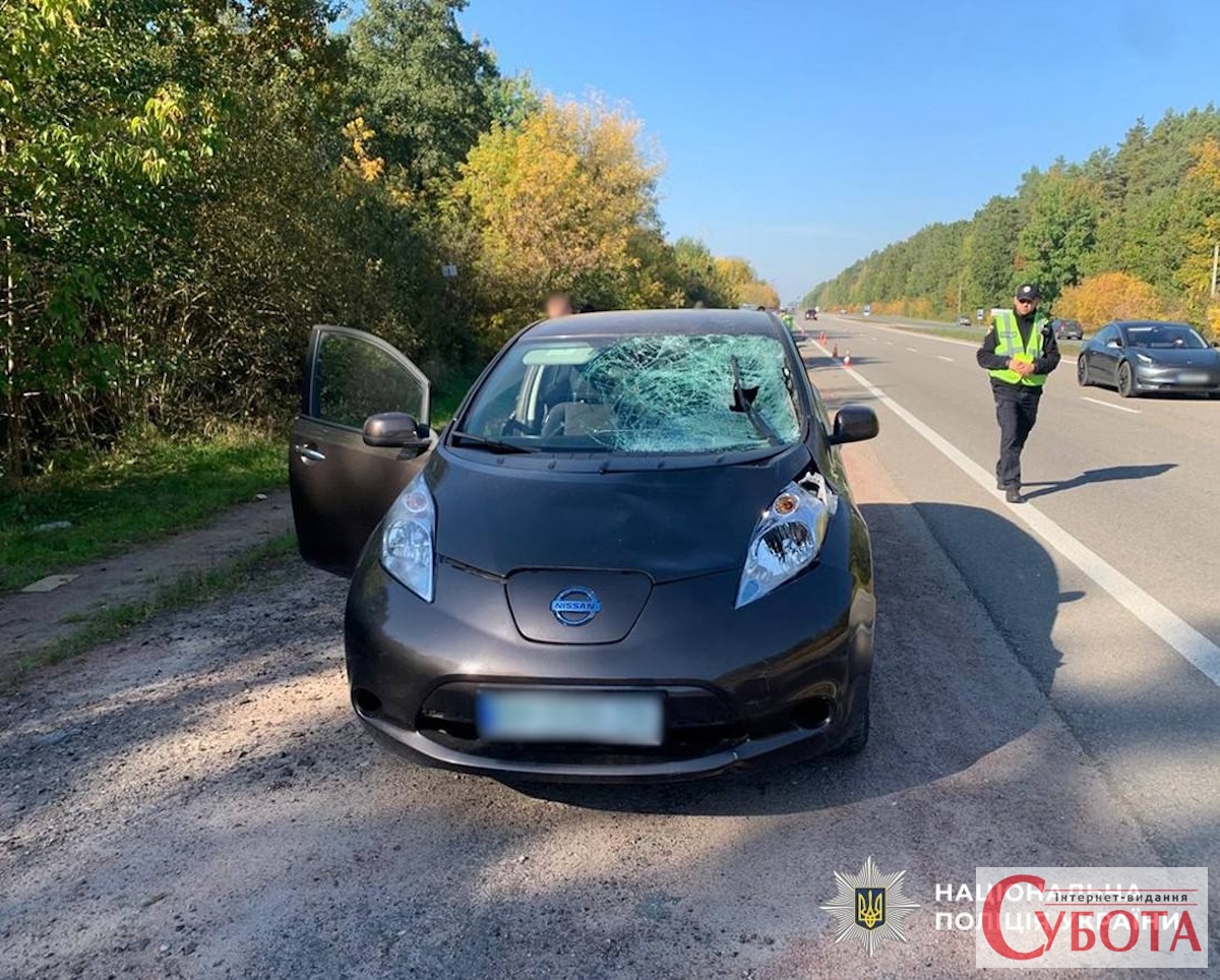 Неподалік Житомира Nissan на смерть збив 66-річного пішохода: водійка в лікарні